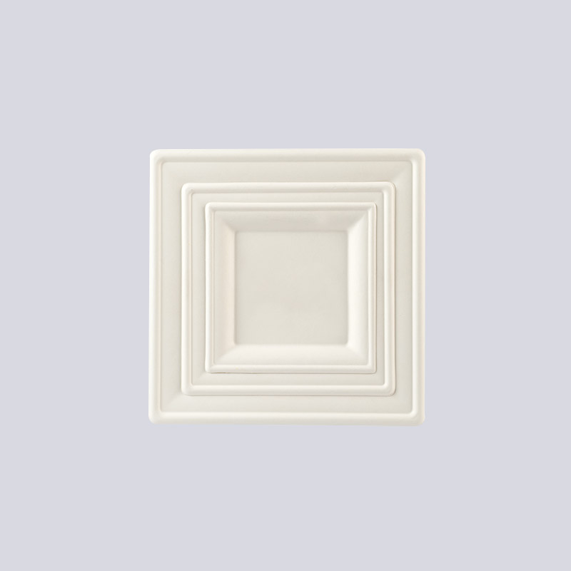 Fiber Plate & Cup Tray